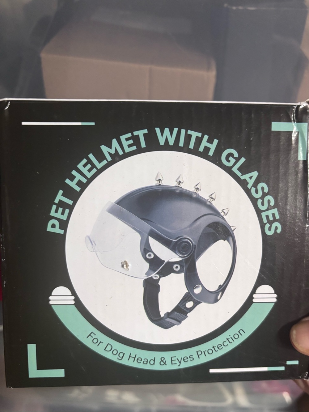 Black Dog Helmet with Clear Goggles - Small/Medium - Picture 2 of 3